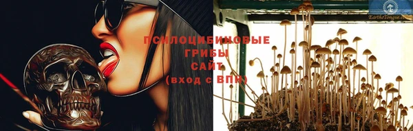 a pvp Дмитриев