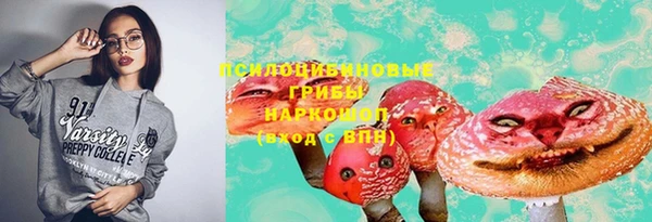 мяу мяу мука Алексеевка