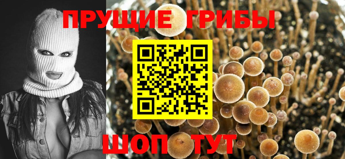 Псилоцибиновые грибы Magic Shrooms  Вход с VPN  Новодвинск 