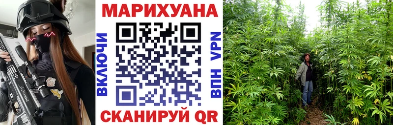 как найти   ОМГ ОМГ рабочий сайт  Бошки марихуана сатива  Новодвинск 